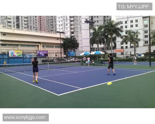 深圳网球队荣登网球意识排行榜第一名引发热议